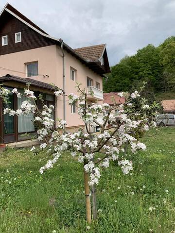 Фотографии Дома для отпуска Vila Teo г. Bărăşti (Румыния) №4 Фото Дома для отпуска Vila Teo г. Bărăşti 4