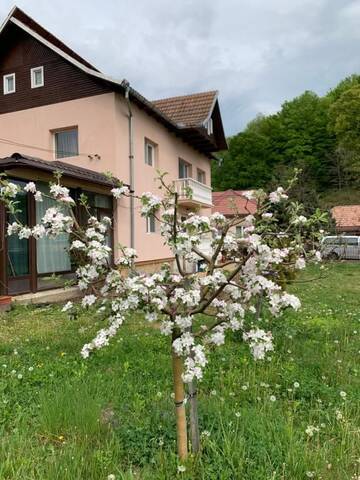 Фото номера Дом с 4 спальнями Дома для отпуска Vila Teo г. Bărăşti 41