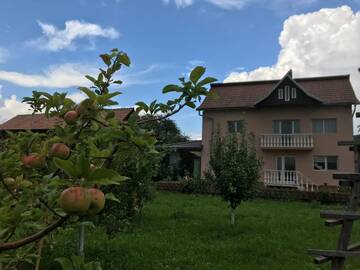 Фото номера Дом с 4 спальнями Дома для отпуска Vila Teo г. Bărăşti 59