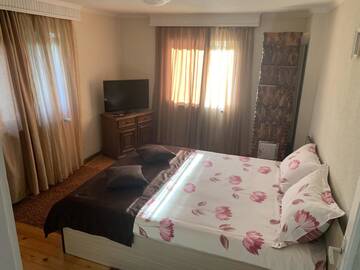 Фото номера Дом с 4 спальнями Дома для отпуска Vila Teo г. Bărăşti 18