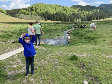 Фото номера Дом с 4 спальнями Дома для отпуска Vila Teo г. Bărăşti 32
