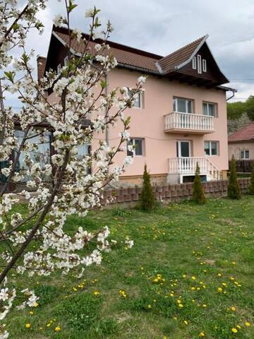 Фото номера Дом с 4 спальнями Дома для отпуска Vila Teo г. Bărăşti 40